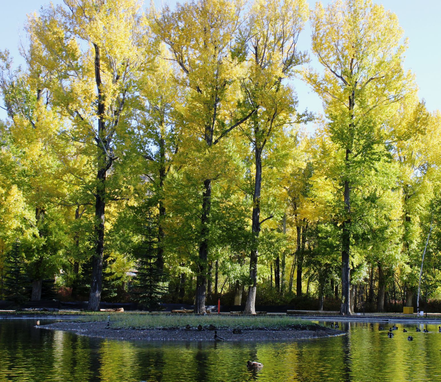 Explore Washoe Park